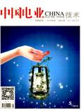 中国电业（下半月）（现：中国电业）（停刊）