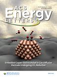 ACS Energy Letters《美国化学学会能源快报》