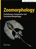 ZOOMORPHOLOGY《动物形态学》