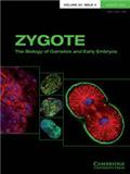 ZYGOTE《合子：配子和早期胚胎生物学》