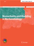 BIOMECHANICS AND MODELING IN MECHANOBIOLOGY《生物力学与机械生物学建模》