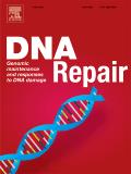 DNA Repair《DNA修复》