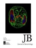 JOURNAL OF BACTERIOLOGY《细菌学杂志》