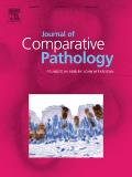 JOURNAL OF COMPARATIVE PATHOLOGY《比较病理学杂志》