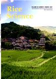 水稻科学（英文版）（Rice Science ）（原：中国水稻研究通报（英文版）（Chinese Rice Research Newsletter））
