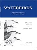 WATERBIRDS《水鸟杂志》