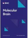 MOLECULAR BRAIN《分子脑》