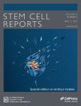 Stem Cell Reports《干细胞报告》