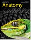 JOURNAL OF ANATOMY《解剖学杂志》