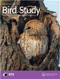 BIRD STUDY《鸟类研究》