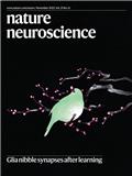 Nature Neuroscience《自然-神经科学》