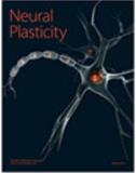 Neural Plasticity《神经可塑性》
