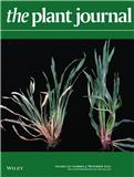 The Plant Journal《植物杂志》