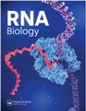 RNA Biology《核糖核酸生物学》