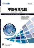 中国有线电视（原：有线电视）（已更名为《新媒体与网络》）
