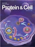 蛋白质与细胞（英文版）（Protein & Cell）