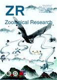 动物学研究（英文版）（Zoological Research）
