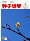 种子世界