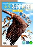 少儿科学周刊（少年版）