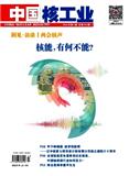中国核工业（不收版面费审稿费）