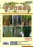 世界竹藤通讯（原：竹类文摘.英文版）