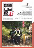 管道安全保护（内刊）