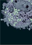 Annual Review of Cancer Biology《癌症生物学年评》