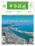 中华环境