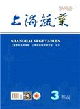 上海蔬菜