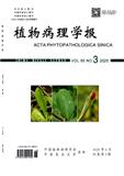 植物病理学报