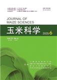 玉米科学