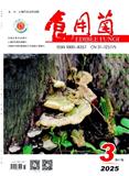 食用菌