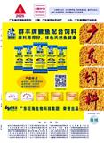广东饲料