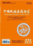 中国民族医药杂志