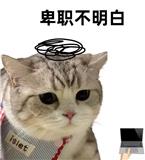 容与