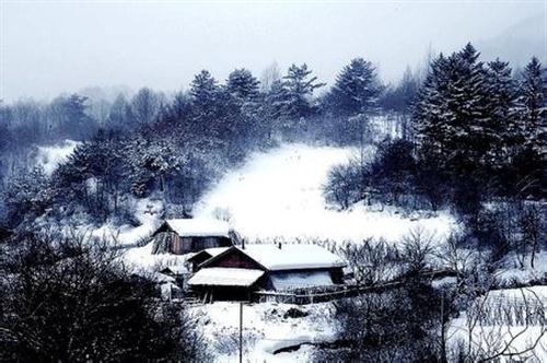 七律 咏雪 张子耀