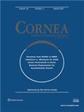 Cornea《角膜》