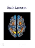 Brain Research《大脑研究》