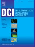 Developmental & Comparative Immunology《发育与比较免疫学》