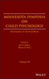 MINNESOTA SYMPOSIA ON CHILD PSYCHOLOGY《明尼苏达儿童心理学研讨会文集》