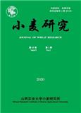 小麦研究（内刊）