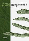 Herpetozoa《爬虫》