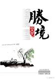 胜境文艺（文学内刊）