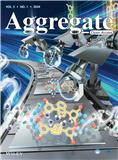聚集体（英文）（Aggregate）（OA期刊）（国际刊号）