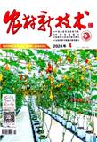 农村新技术