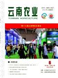 云南农业