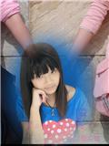 木槿花香