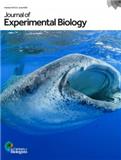 JOURNAL OF EXPERIMENTAL BIOLOGY《实验生物学杂志》