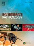 JOURNAL OF INVERTEBRATE PATHOLOGY《无脊椎动物病理学杂志》