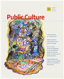 Public Culture《公共文化》